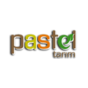 pastel-tarim-logo